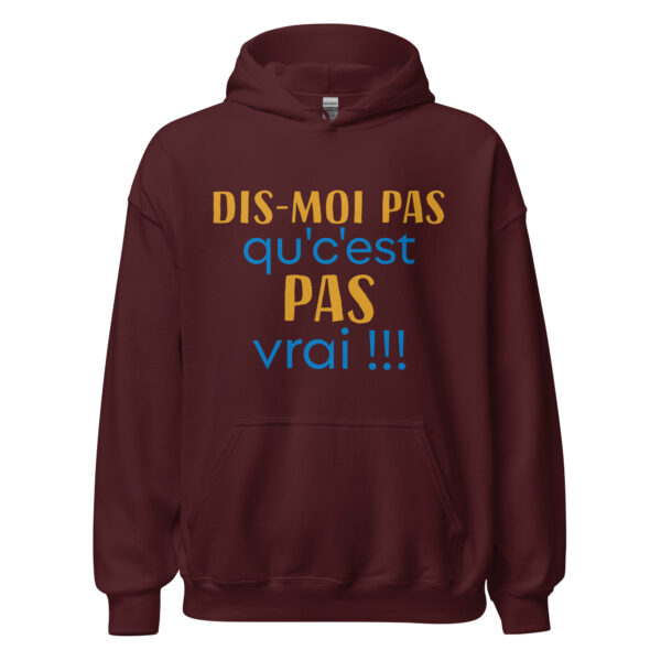 Sweat à capuche "dis moi pas qu'c'est pas vrai !!!" – Image 5