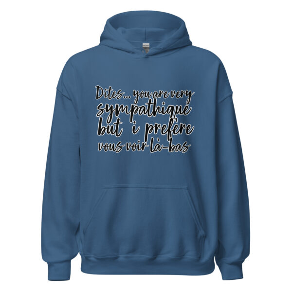 Sweat à capuche "Dites, you are very sympathique but I préfère vous voir là-bas." – Image 16