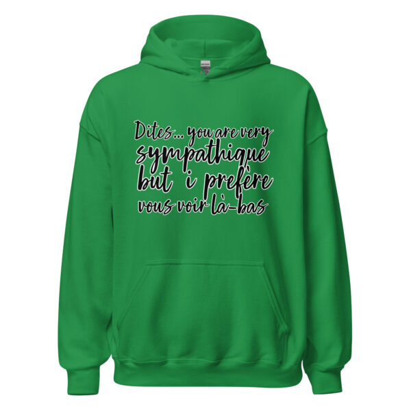 Sweat à capuche "Dites, you are very sympathique but I préfère vous voir là-bas." – Image 20