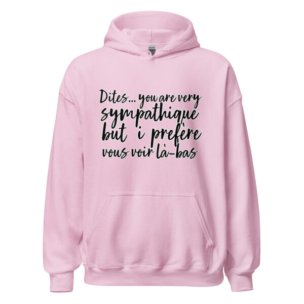 Sweat à capuche "Dites, you are very sympathique but I préfère vous voir là-bas." – Image 30