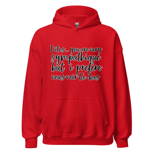 Sweat à capuche "Dites, you are very sympathique but I préfère vous voir là-bas." – Image 10