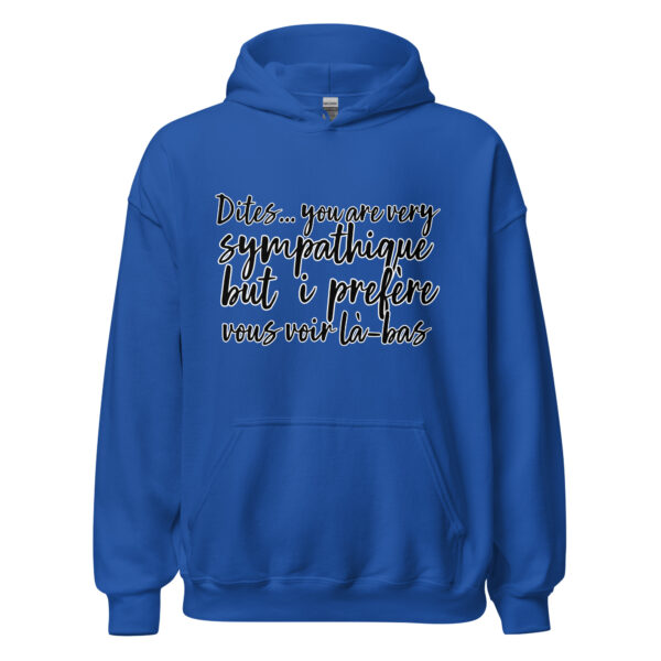 Sweat à capuche "Dites, you are very sympathique but I préfère vous voir là-bas." – Image 14