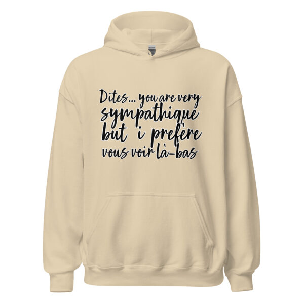 Sweat à capuche "Dites, you are very sympathique but I préfère vous voir là-bas." – Image 28