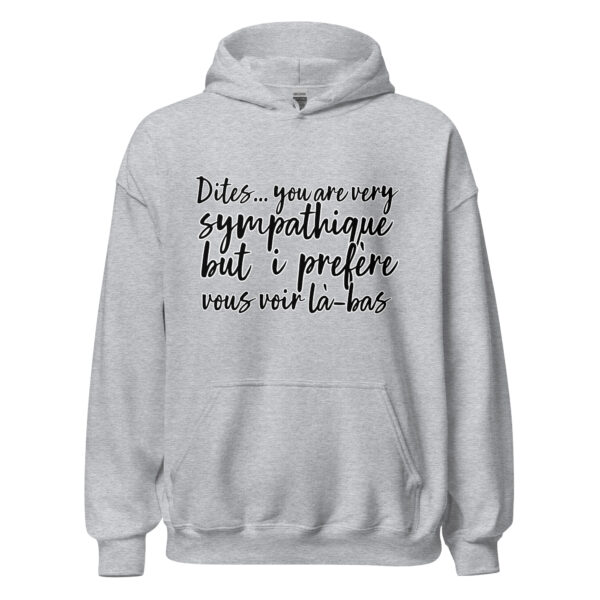 Sweat à capuche "Dites, you are very sympathique but I préfère vous voir là-bas." – Image 24